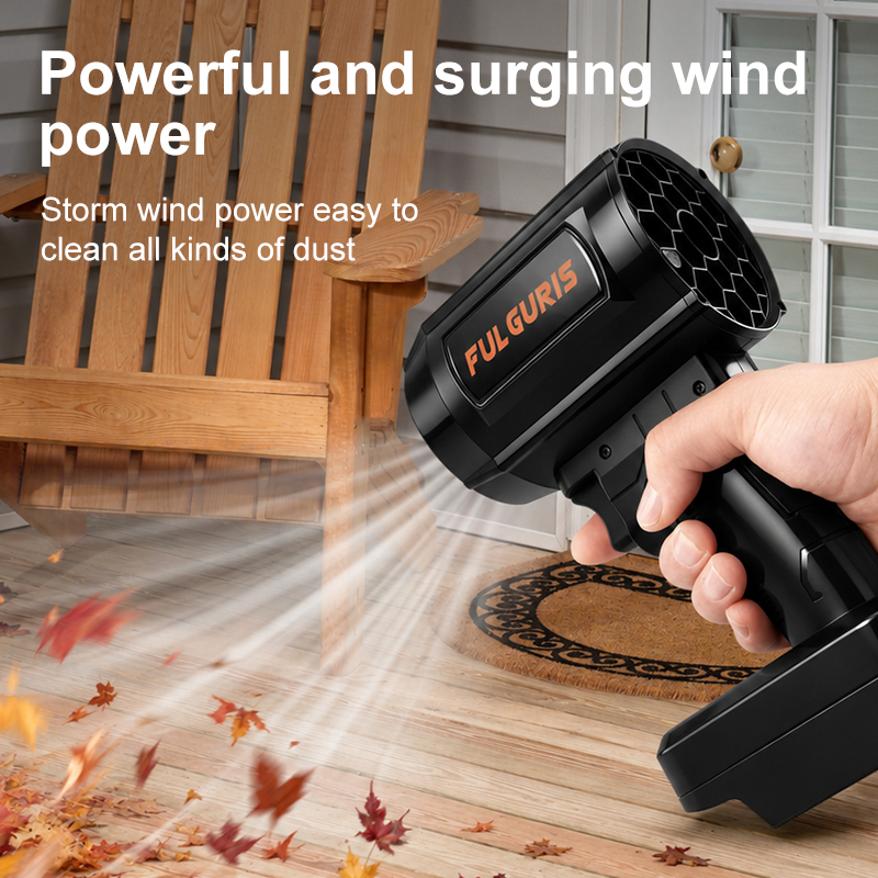 Potente soplador de aire manua - Dryer Car Blower reseña y precio